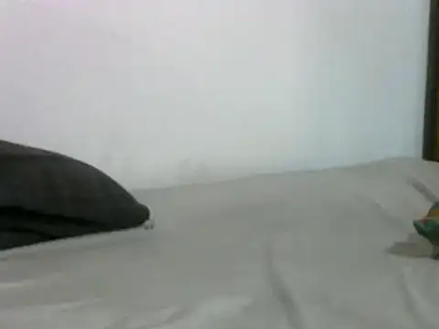 Snapshot of sissydinu chatting on March 17, 2025, 5:12 am sissydinu online show from March 17, 2025, 5:12 am