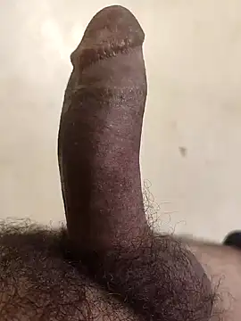 Snapshot of alkhabiir chatting on November 2, 2025, 8:17 am alkhabiir online show from November 2, 2025, 8:17 am