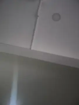 Mila LS online show from November 26, 2025, 12:50 pm