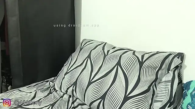 Thony444 online show from February 3, 2026, 3:15 am