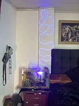 CRAZY-BOY99 online show from December 14, 2025, 11:20 pm