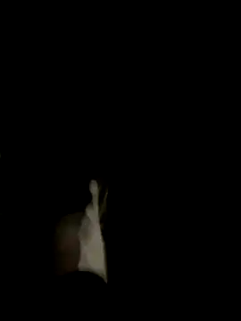 Snapshot of Dasul_ chatting on October 11, 2025, 7:07 am Dasul  online show from October 11, 2025, 7:07 am