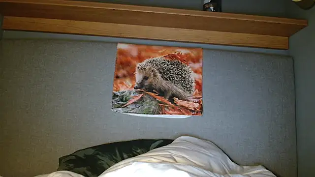 Saysay-7 online show from October 5, 2025, 5:33 pm