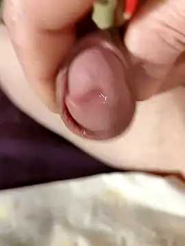 Snapshot of --Serhei-- chatting on November 2, 2025, 4:26 am --Serhei-- online show from November 2, 2025, 4:26 am