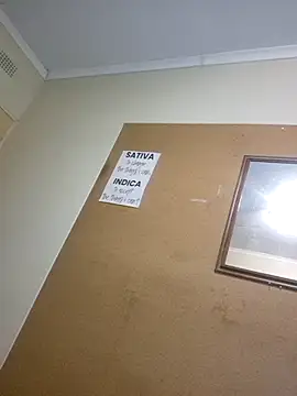 Snapshot of bakedsnackmmh chatting on March 30, 2026, 6:09 pm bakedsnackmmh online show from March 30, 2026, 6:09 pm