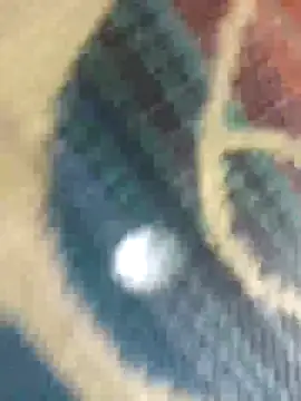 Sexy-nandani-baby online show from October 12, 2025, 5:28 am