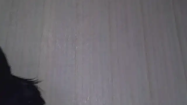  Black-Panther  online show from October 20, 2025, 8:26 am