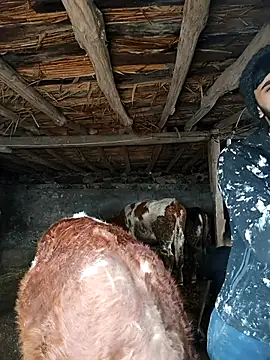 Zor12347 online show from February 4, 2026, 12:00 pm