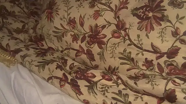 Snapshot of JoaoPinto0 chatting on October 6, 2025, 1:58 am JoaoPinto0 online show from October 6, 2025, 1:58 am