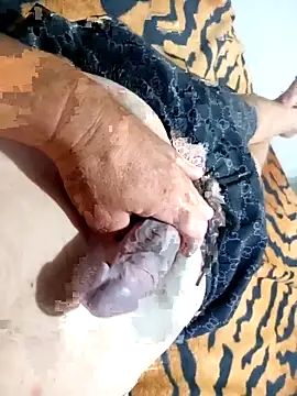 Snapshot of Dglo0000 chatting on November 30, 2025, 8:51 am Dglo0000 online show from November 30, 2025, 8:51 am