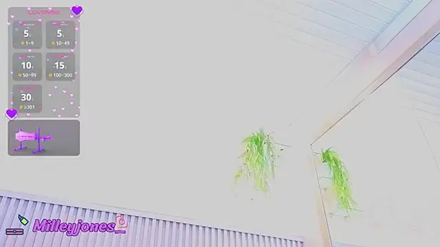 MilleyJones online show from August 4, 2026, 11:46 am