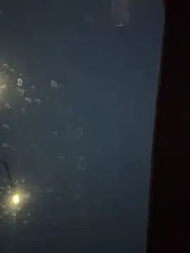 Snapshot of Eriksson00 chatting on December 19, 2025, 7:48 am Eriksson00 online show from December 19, 2025, 7:48 am