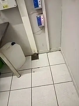 paptsimo online show from November 25, 2025, 2:44 am