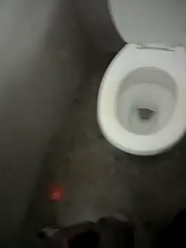 paptsimo online show from December 13, 2025, 7:53 pm