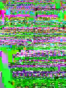 Punjabi Jaati online show from December 19, 2025, 2:46 pm