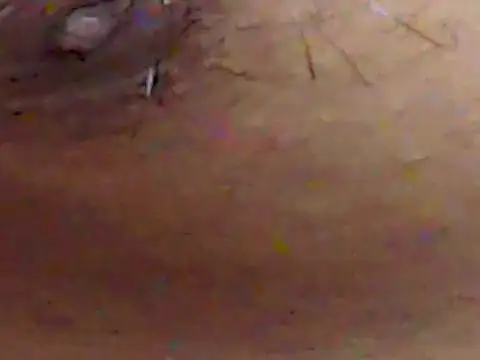 ChiseledCharm online show from September 19, 2025, 2:51 pm