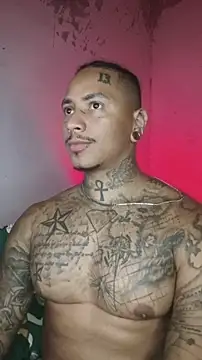 David tatto1 online show from February 17, 2026, 2:52 am