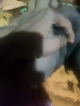 Snapshot of sshrichandra chatting on November 13, 2025, 8:08 pm sshrichandra online show from November 13, 2025, 8:08 pm