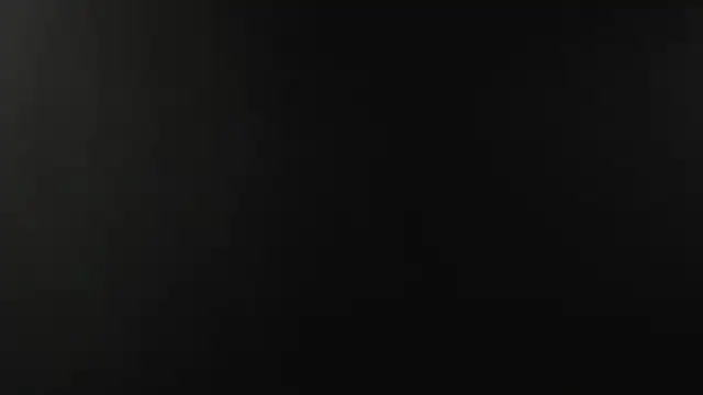 Snapshot of LINABERNAND chatting on October 7, 2025, 12:24 pm LINABERNAND online show from October 7, 2025, 12:24 pm