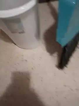 Snapshot of Crossedsissy chatting on March 10, 2026, 8:58 pm Crossedsissy online show from March 10, 2026, 8:58 pm