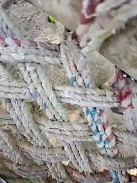 Snapshot of Naveen9100Unity chatting on April 12, 2026, 10:31 am Naveen9100Unity online show from April 12, 2026, 10:31 am