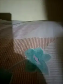 Snapshot of Nishi-2 chatting on September 25, 2025, 1:48 pm Nishi-2 online show from September 25, 2025, 1:48 pm