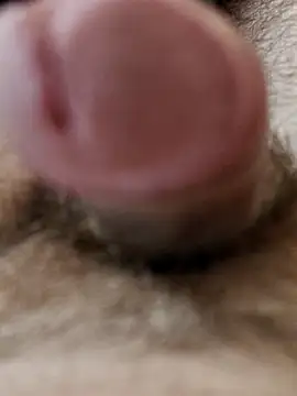 usedseller online show from April 4, 2026, 9:29 am