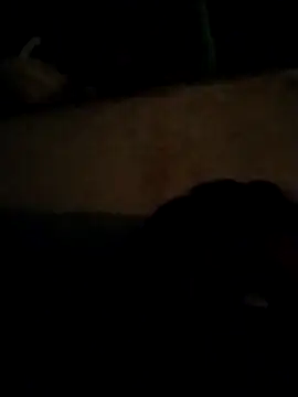 Snapshot of Wild_dj69 chatting on January 8, 2026, 4:09 pm Wild dj69 online show from January 8, 2026, 4:09 pm