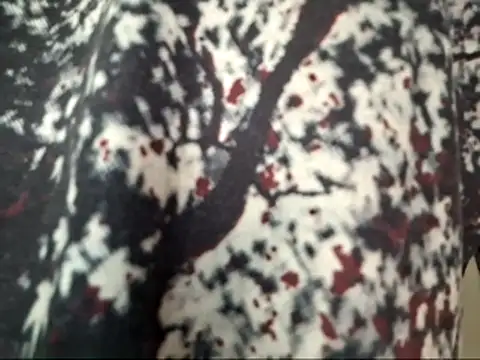 dabeibe online show from January 16, 2026, 8:57 pm