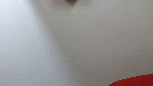 lola warner online show from October 16, 2025, 3:40 am