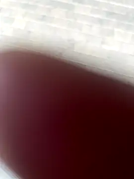 Snapshot of kamo012000 chatting on October 9, 2025, 2:37 pm kamo012000 online show from October 9, 2025, 2:37 pm