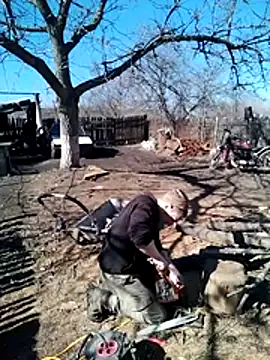 Snapshot of Alexilon chatting on March 10, 2026, 11:15 am Alexilon online show from March 10, 2026, 11:15 am