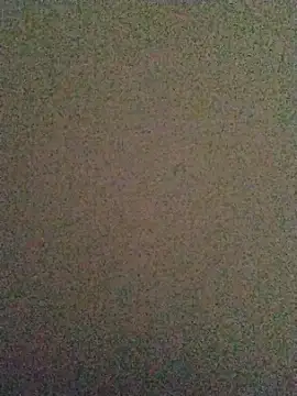 LeoMaduroSP online show from November 19, 2025, 10:59 am