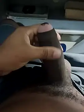 nego-insaciavel online show from February 25, 2026, 12:04 pm