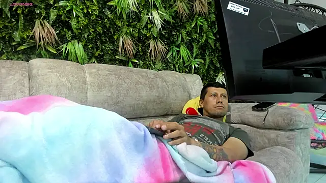 willou 86 online show from October 25, 2025, 8:36 pm