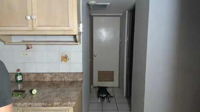 BlondZilla online show from November 17, 2025, 12:49 am