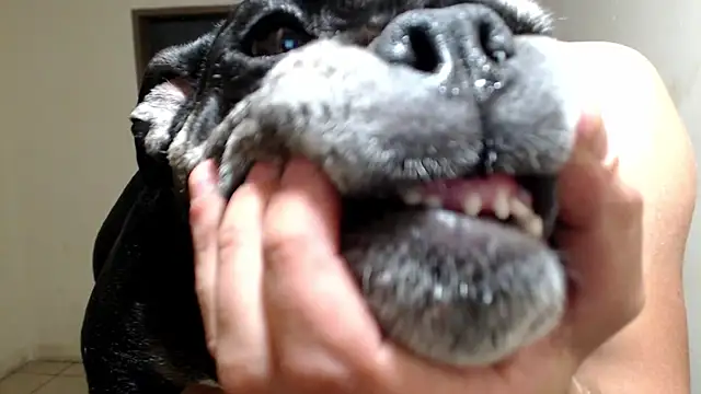 Snapshot of BlondZilla chatting on March 18, 2026, 6:27 am BlondZilla online show from March 18, 2026, 6:27 am