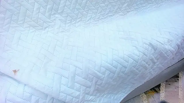 Snapshot of crystal_sm chatting on February 13, 2026, 3:13 am crystal sm online show from February 13, 2026, 3:13 am