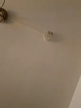 LightskinBumpa online show from November 15, 2025, 2:09 am