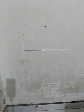 laleela1 online show from October 8, 2025, 12:25 pm