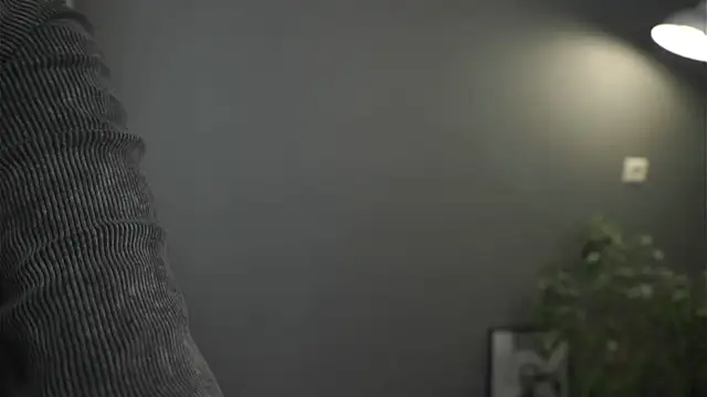 lisa schiele online show from December 3, 2025, 8:29 pm