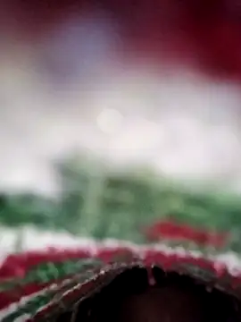 Snapshot of ParousFlow chatting on February 13, 2026, 11:28 am ParousFlow online show from February 13, 2026, 11:28 am