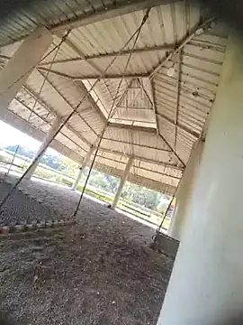 Desi Horny Boys online show from October 21, 2025, 8:26 am