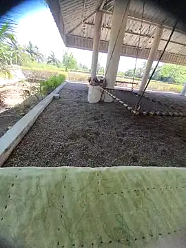 Desi Horny Boys online show from March 24, 2026, 8:19 am