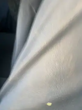 curis4270panda online show from February 17, 2026, 11:00 pm