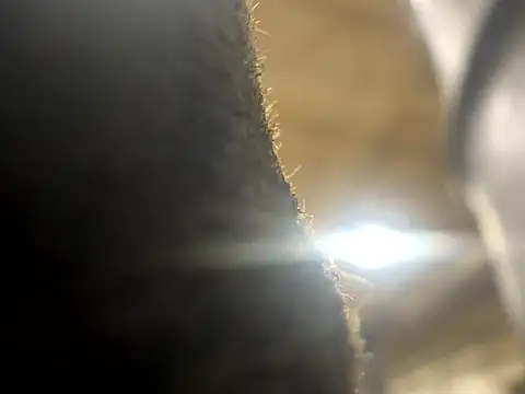 curis4270panda online show from March 18, 2026, 11:41 pm