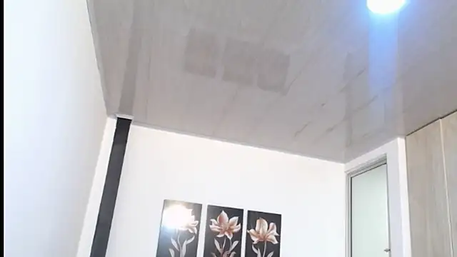 pinky f00x online show from May 11, 2026, 7:22 pm