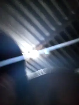 DOLLY501 online show from February 3, 2026, 8:03 pm