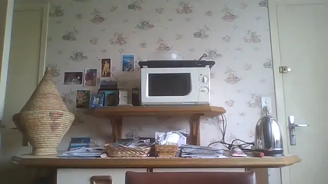gegevincent online show from May 3, 2026, 11:27 am