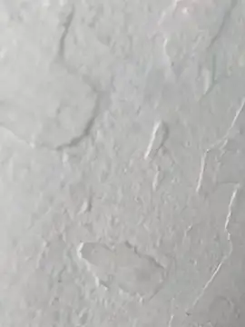 yaraa49 online show from October 23, 2025, 5:07 am